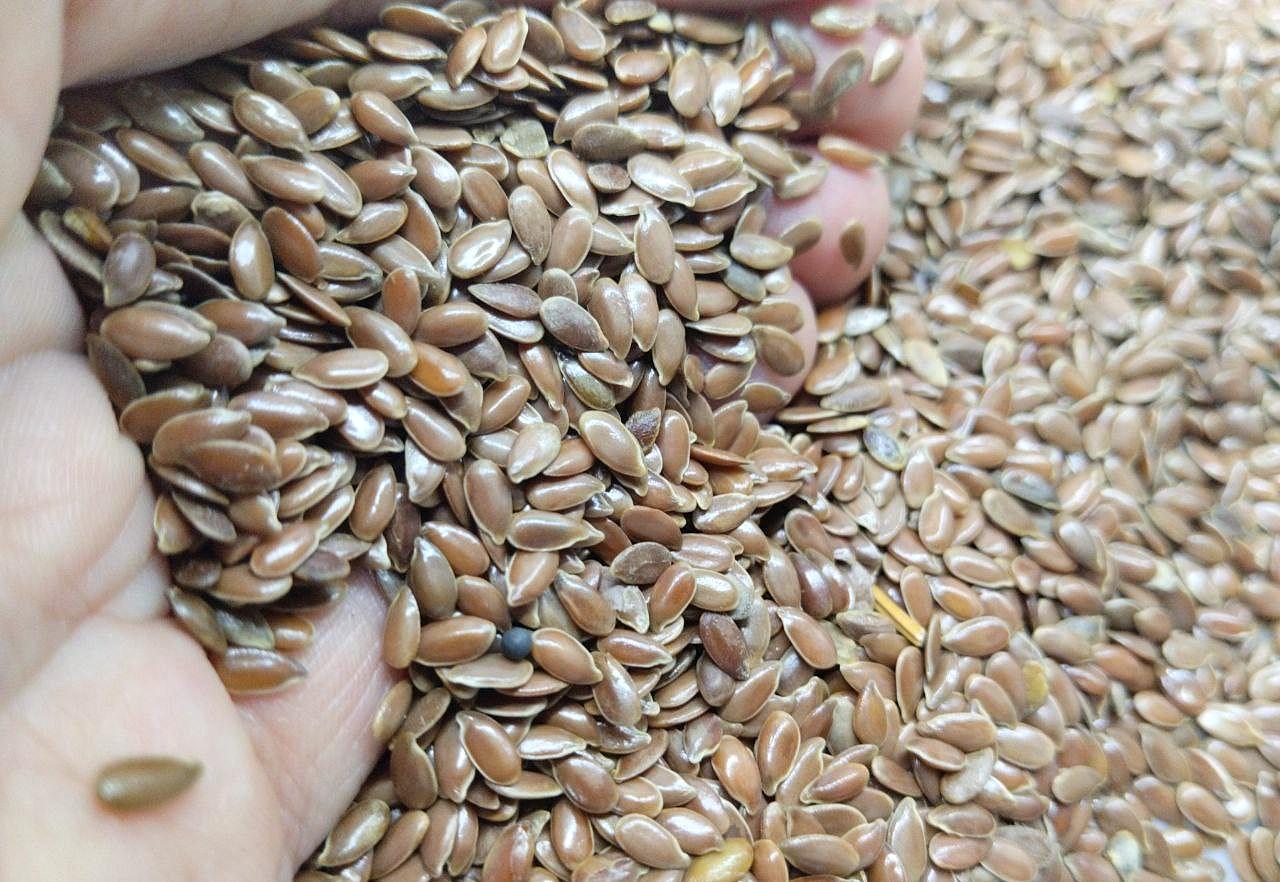 Что происходит на рынке льна в Казахстане - изображение