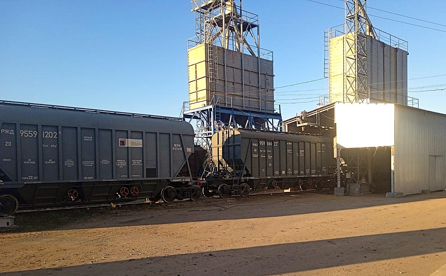 Почему казахстанский аграрий застрял на пути к мировым рынкам? - изображение