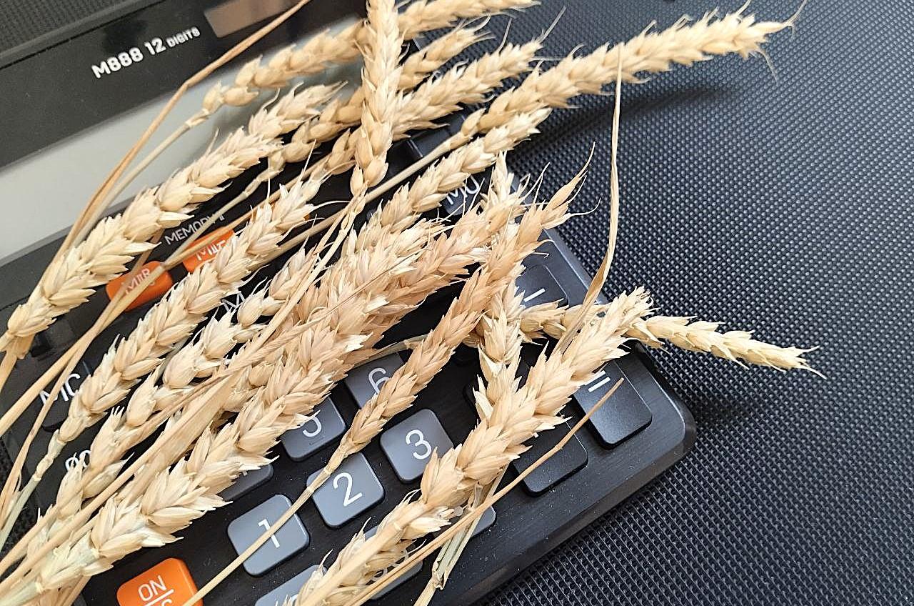 Крупнейшую за последние 5 лет сумму прибыли заработали экспортёры агропродукции  - изображение