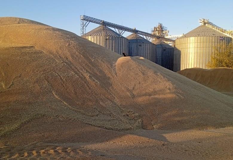 Крупнейший в РК зернокомплекс стоимостью 175,7 млрд тенге намерен выйти на рынок США - изображение