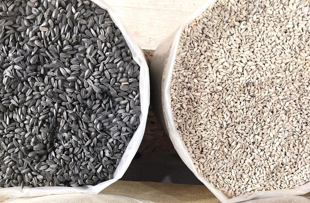 Казахстанский бизнес заключил ряд соглашений на поставку кормовой муки и масличных в КНР - изображение