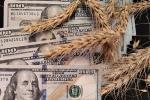 Международные цены на пшеницу выросли на 4,3%  - превью