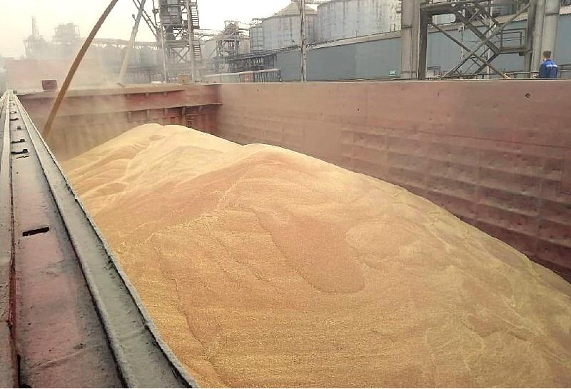 Судно с грузом пшеницы затонуло в Азовском море, есть погибший - изображение