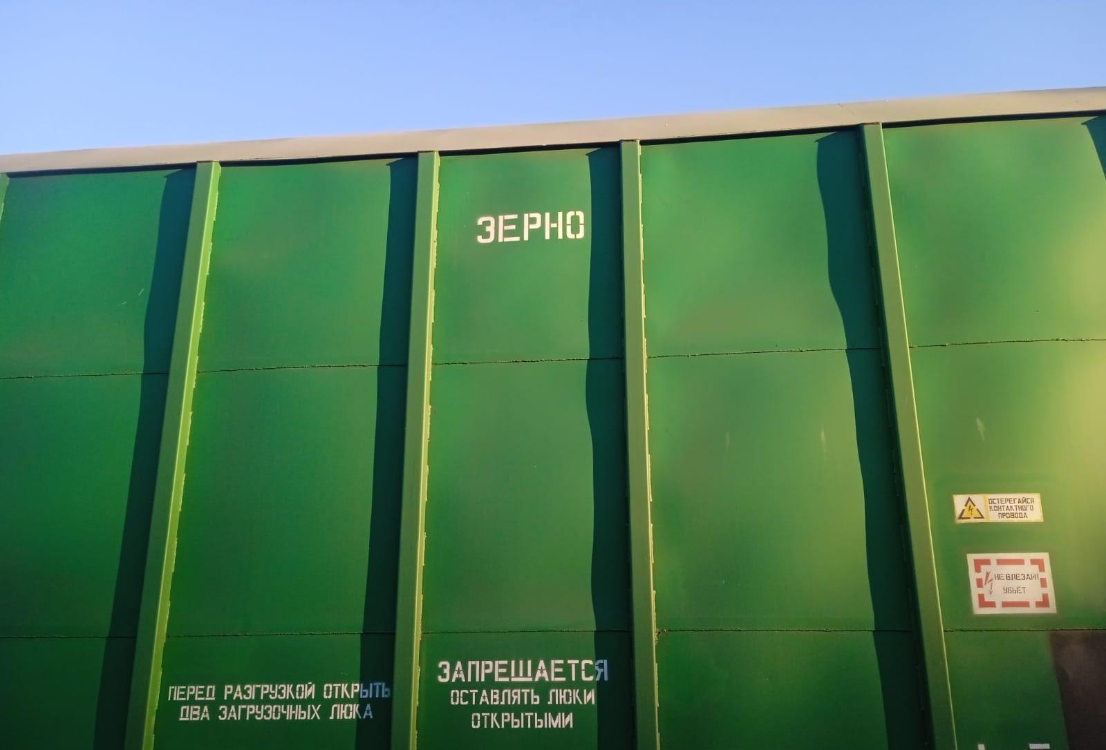 Об объемах экспорта зерна и муки рассказали в КТЖ - изображение