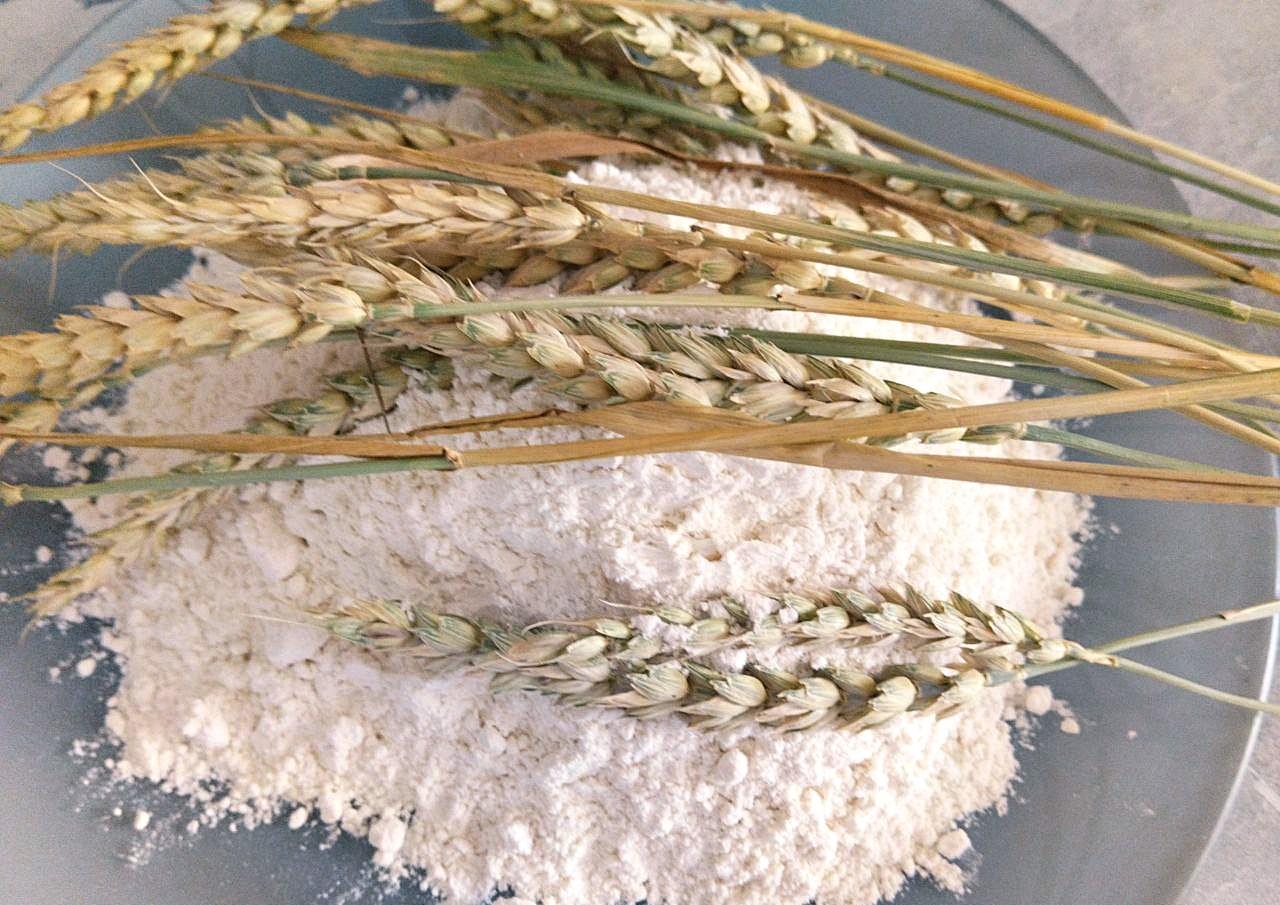 Остановки экспорта в Китай опасаются в Казахстане - изображение