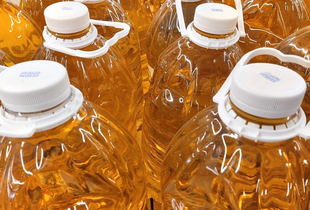 Турецкий агрохолдинг построит крупнейший в ЦА маслозавод на севере Казахстана - изображение