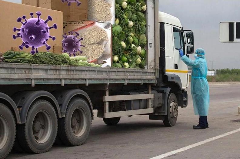 Инфекции и ГМО завозятся в Казахстан из-за постоянных сбоев фитосанитарного контроля - изображение