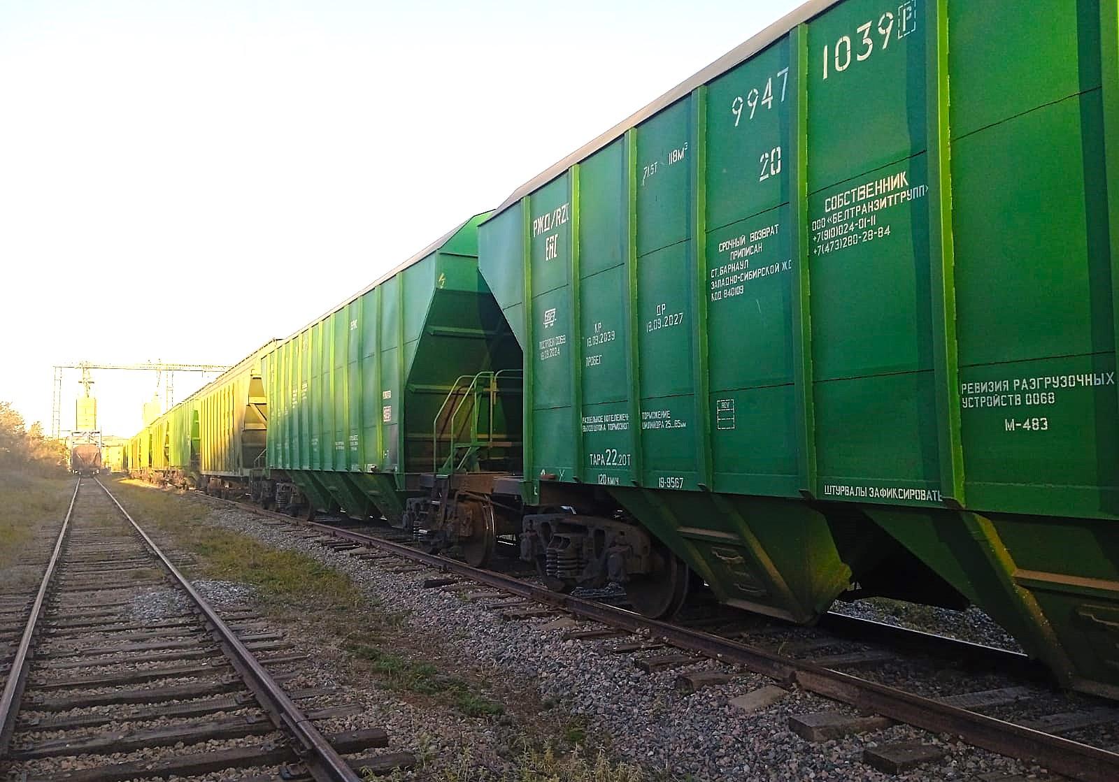 Дополнительные средства выделят на перевозку зерна в Казахстане - изображение