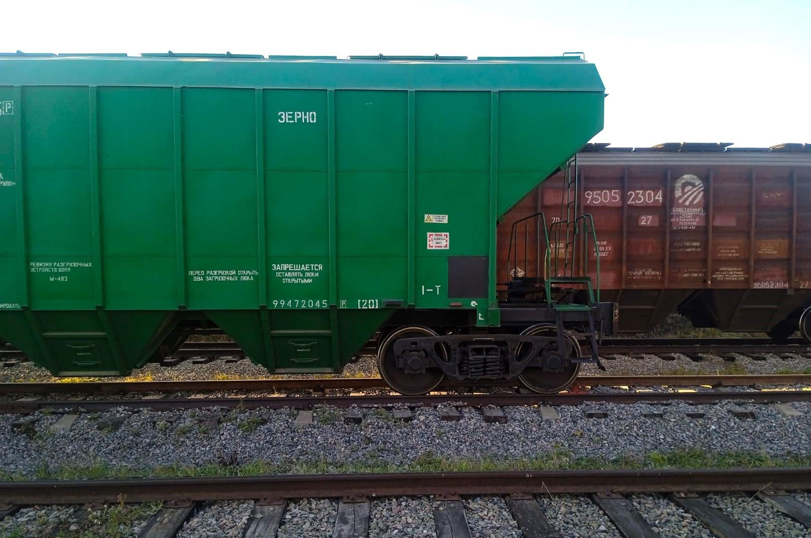 Астык Транс останется экспедитором казахстанского зерна, несмотря на смену акционера - изображение