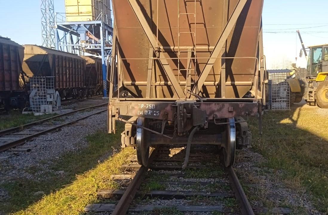 О росте экспорта сельхозгрузов из Казахстана в Китай сообщает КТЖ - изображение