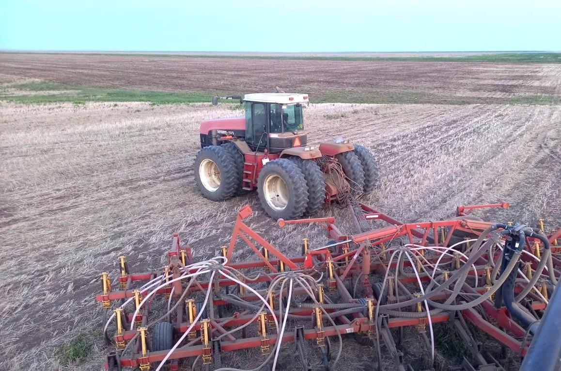 Весенне-полевая кампания проходит в специфических агроклиматических условиях - НПЦ Бараева - изображение