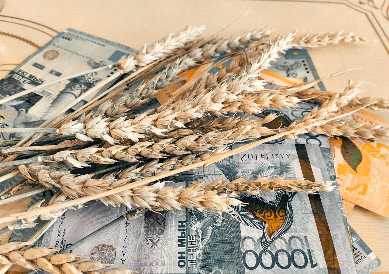 Продкорпорация объявила о проведении прямого закупа зерна урожая 2024-2025 - изображение