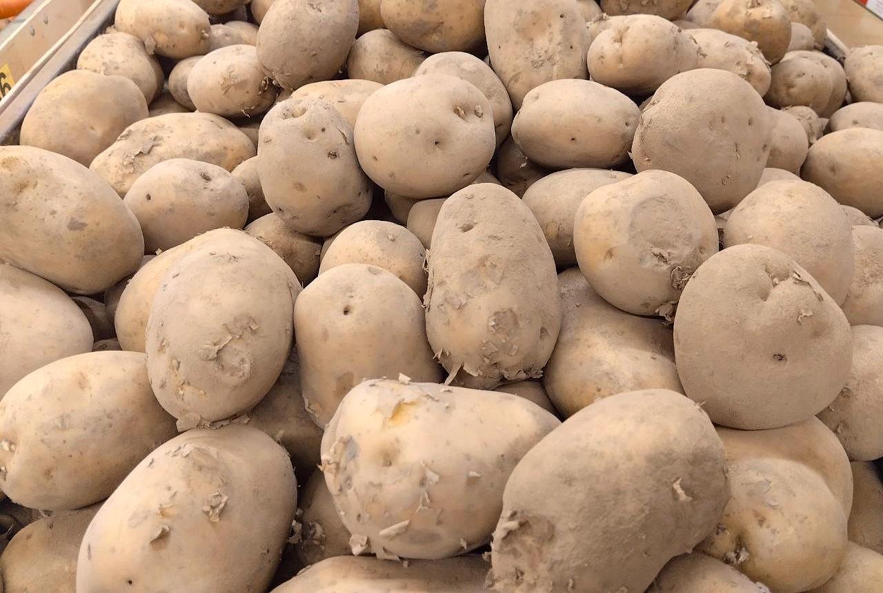 Ведущий азиатский холдинг инвестирует $200 млн в глубокую переработку картофеля в Казахстане - изображение