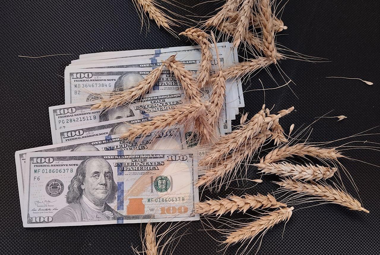 Жумангарин взял на особый контроль вопрос о невозвратном НДС экспортеров - изображение