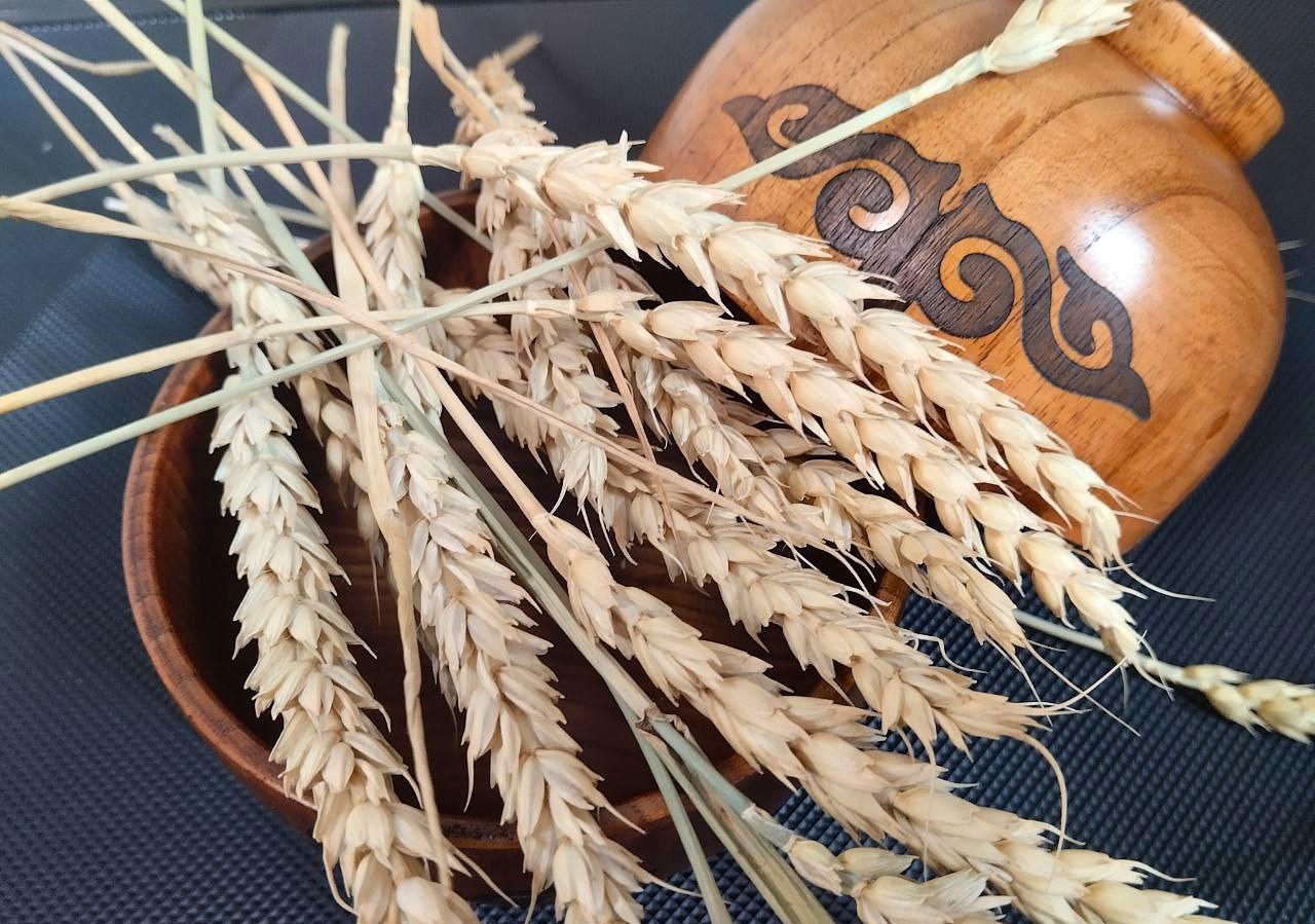 Правительство одобрило Соглашение об инвестициях по зерноперерабатывающему заводу стоимостью 300 млрд тенге  - изображение