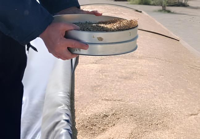 Партию зараженного ячменя пытались ввезти из России в Казахстан - изображение