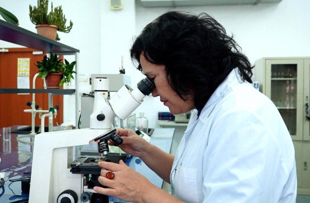 Новые сорта пшеницы и риса: геномные технологии намерены внедрить в Казахстане - изображение