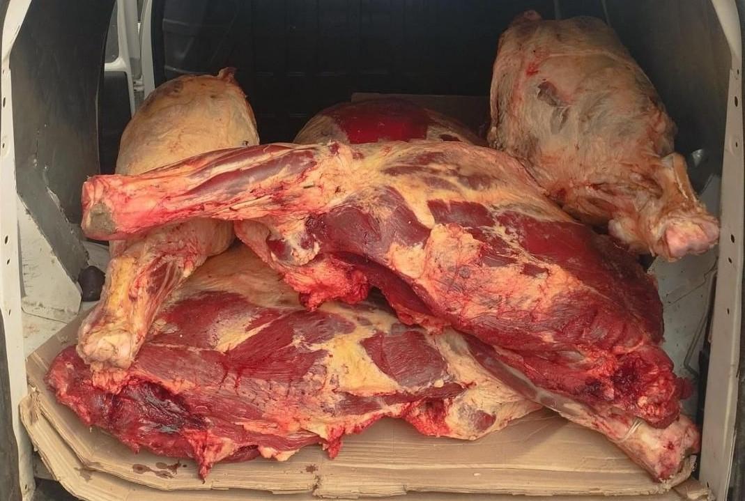Казахстан разрешил транзит российского скота и мяса из эпизоотически благополучных регионов - изображение