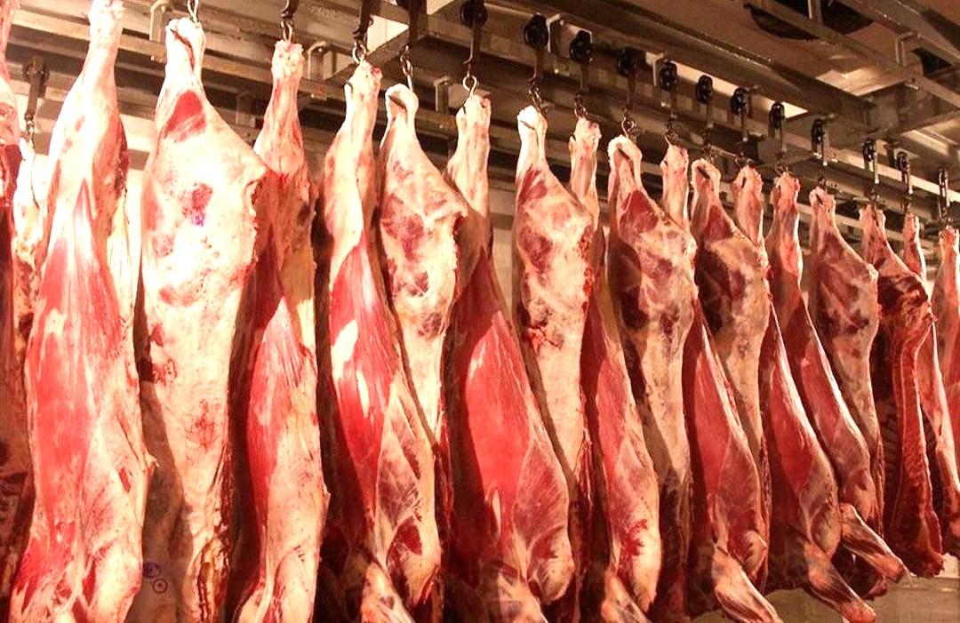 Крупное мясное производство намерены создать с участием Испании в Казахстане - изображение