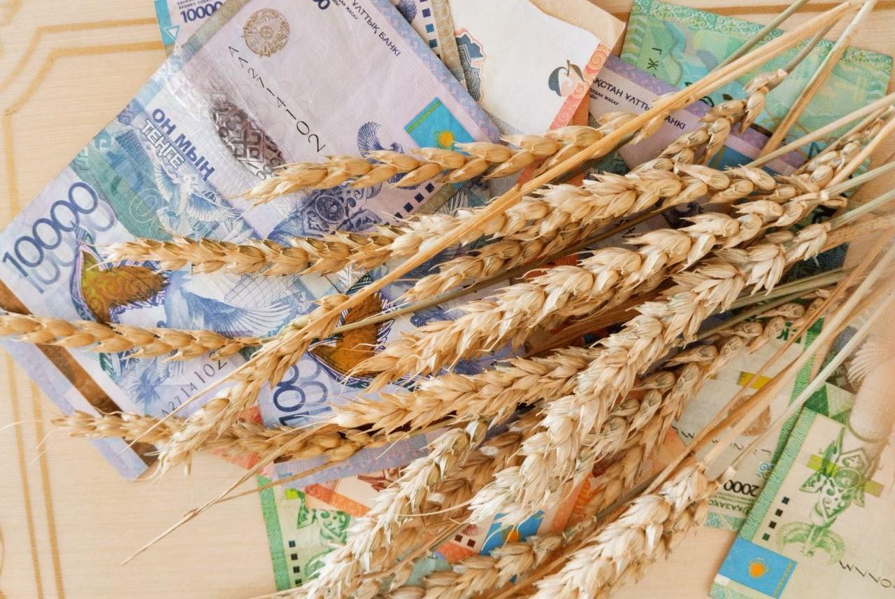 Продкорпорция продает зерно по цене от 95 тыс. тенге за тонну - изображение