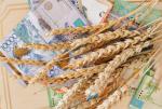 Продкорпорция продает зерно по цене от 95 тыс. тенге за тонну - превью