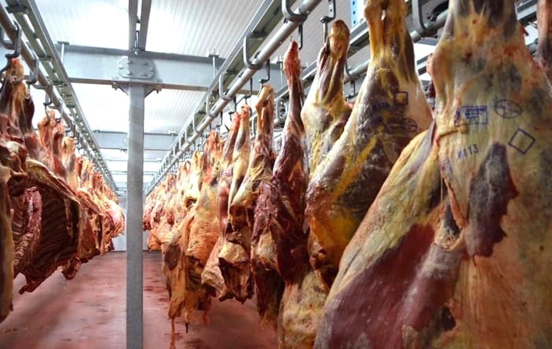 Дефицита баранины в Казахстане нет. Рост цен остановлен - изображение