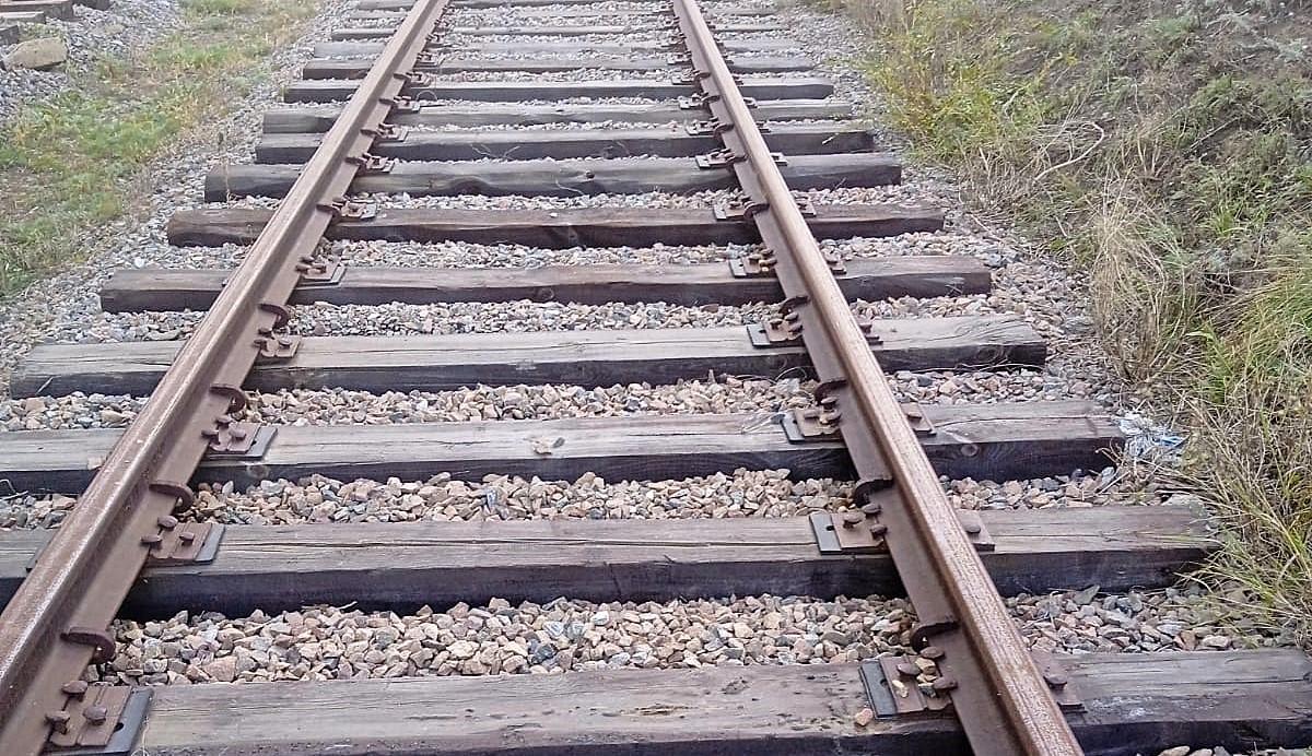 Беларусь договаривается с Казахстаном об увеличении перевозок грузов в Китай - изображение