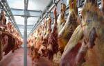 Крупнейший в РК мясокомбинат стоимостью 7,7 млрд тенге введут в сентябре - превью