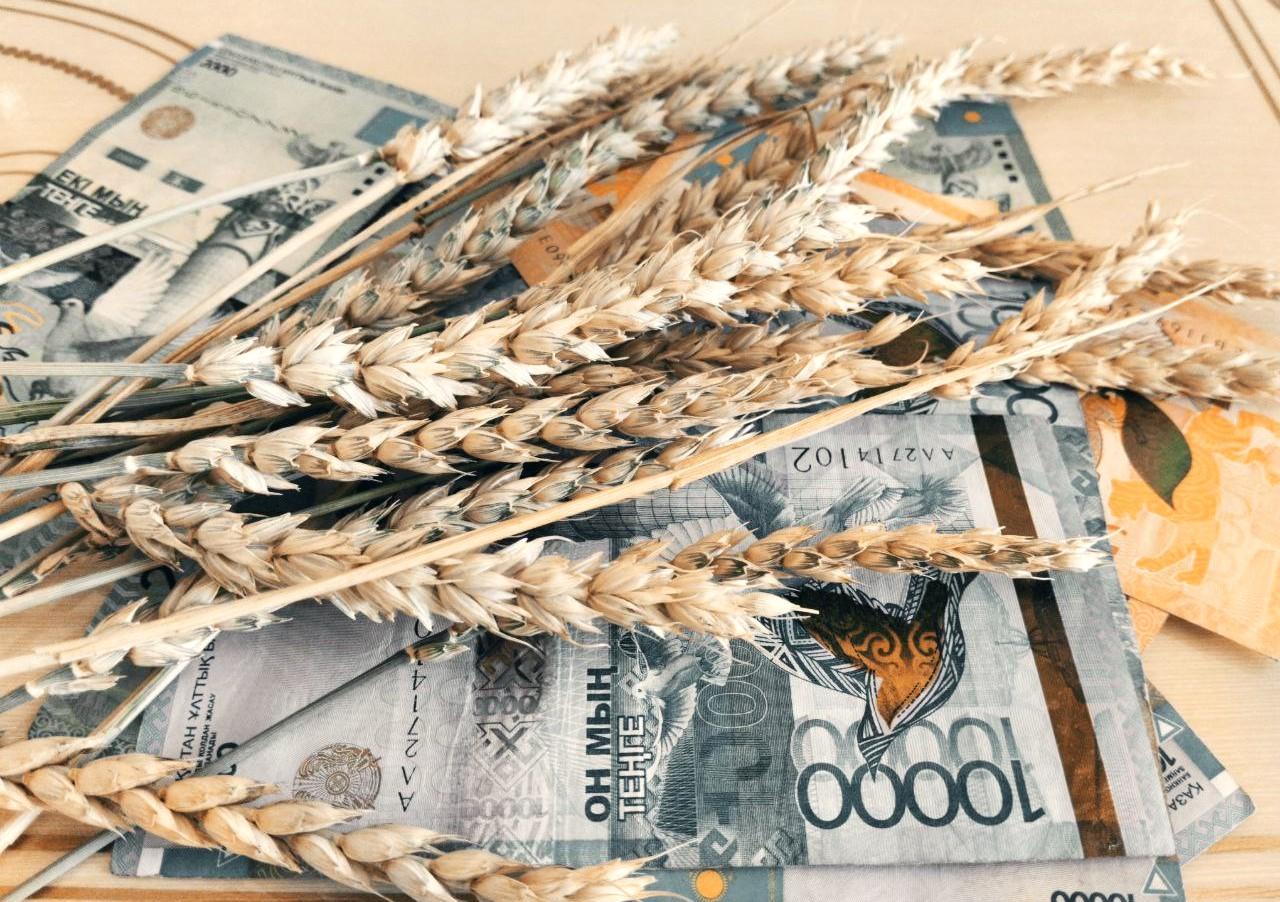 Новый механизм субсидирования позволил два года подряд получать рекордные урожаи - МСХ - изображение