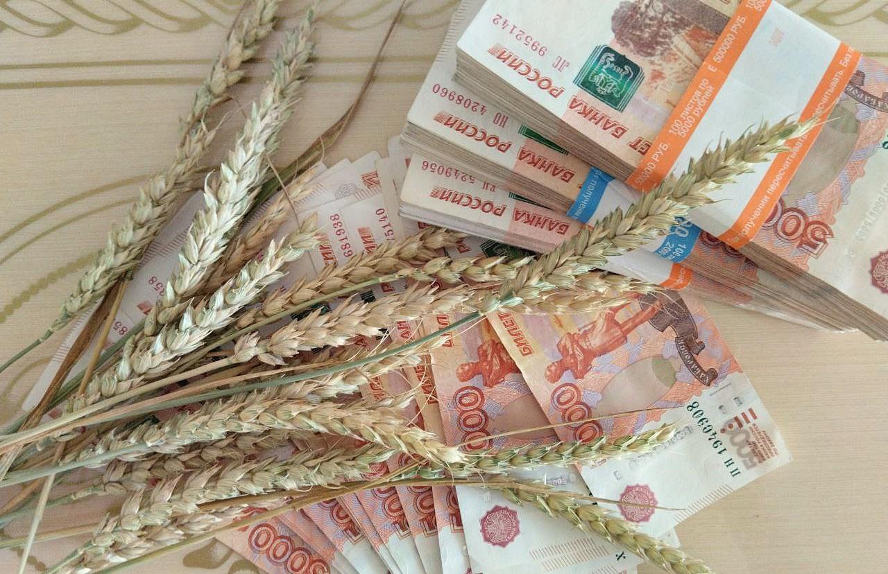 Цены на казахстанскую пшеницу выросли, импорт из РФ стал интересным - изображение