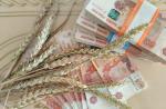 Цены на казахстанскую пшеницу выросли, импорт из РФ стал интересным - превью