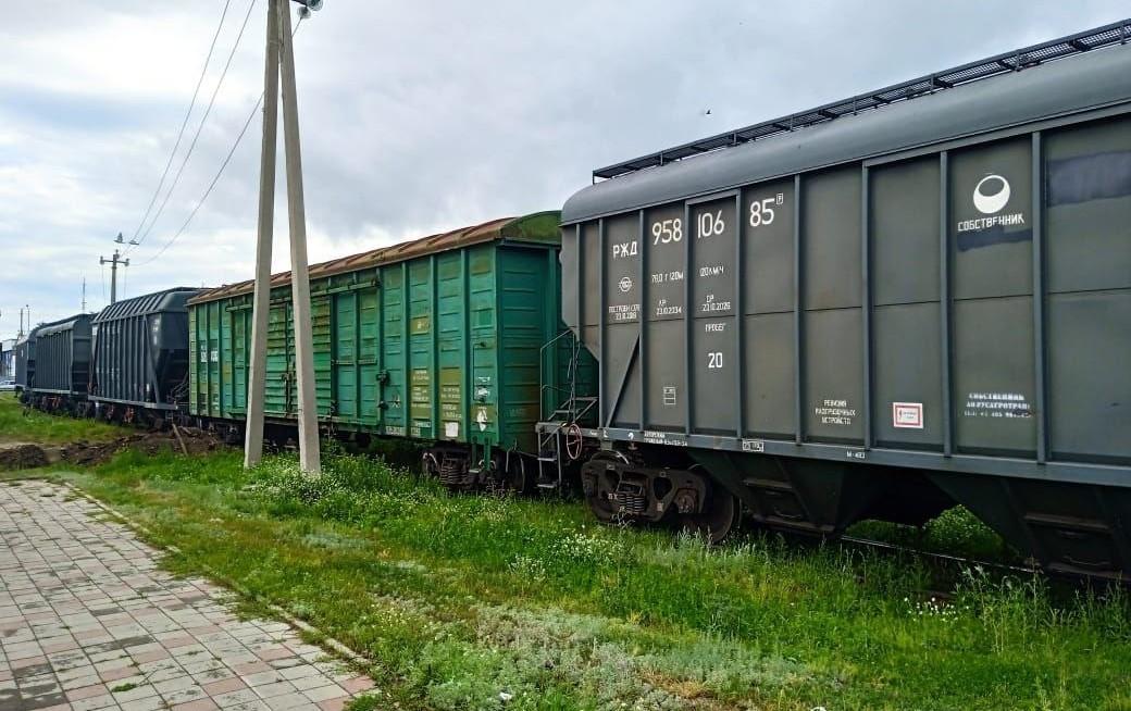 Наращивать логистику через Китай для укрепления позиций зерна в Юго-Восточной Азии предлагают в Казахстане - изображение