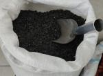 Сельхозпроизводители реализовали Продкорпорации втрое больше масличных  - превью