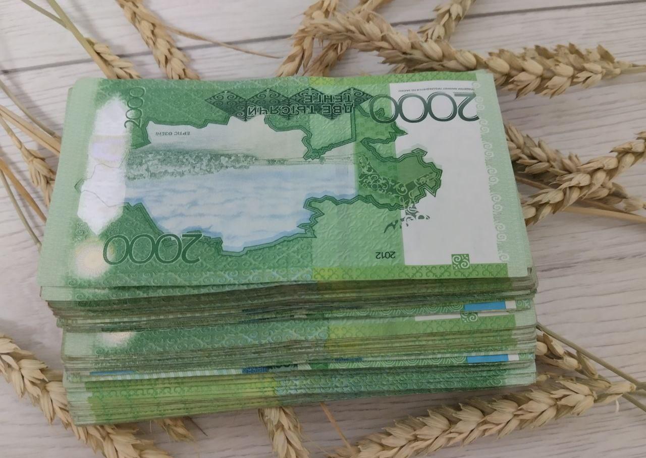 Зерновой Союз просит не отменять льготы переработчикам одномоментно с преференциями аграриям - изображение