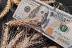 Мировые цены на пшеницу выросли на фоне сбоев экспортных потоков в Черном море - превью