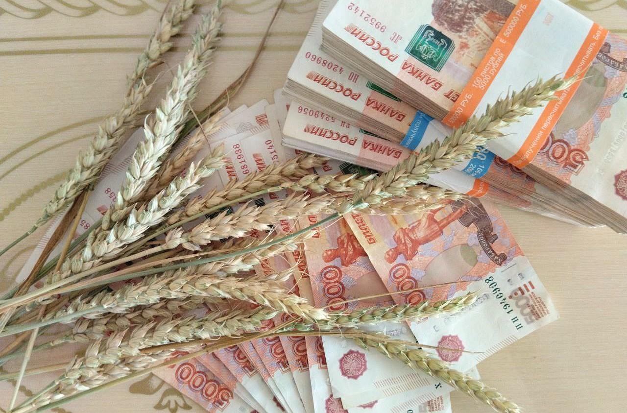 Россия сбывает «запертое» зерно в Китай: ставка Казахстана на кормовую муку может провалиться - KazGrain - изображение