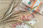 Россия сбывает «запертое» зерно в Китай: ставка Казахстана на кормовую муку может провалиться - превью