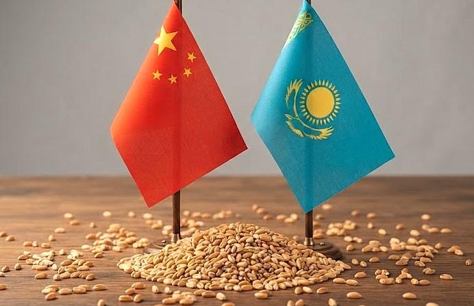 Китай не спасет агросектор Казахстана - Зерновой Союз - изображение