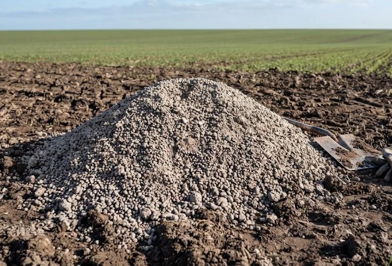 Производство минеральных удобрений из фосфоритов наладят на юге Казахстана - изображение