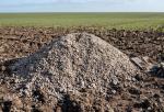 Производство минеральных удобрений из фосфоритов наладят на юге Казахстана - превью