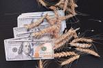 Шок на мировом рынке зерна: случился взлет цен на фоне блокировки портов Черного моря - превью