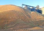 Уборка-2026: около 80% собранного зерна относится к 3 классу - превью