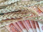 Импорт российского зерна в Казахстан вырос в 6 раз - до 2 млн тонн - превью