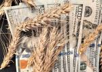 ФАО опубликовала тревожный отчет по рынку зерна за август - превью