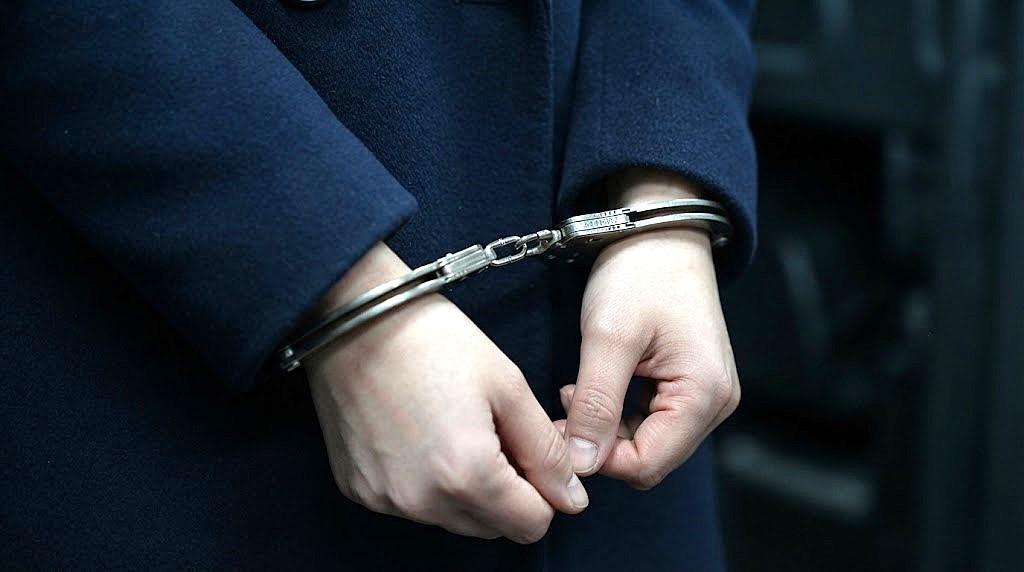 Из Грузии экстрадирована казахстанка, подозреваемая в хищении сельхозсубсидий - изображение