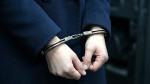 Из Грузии экстрадирована казахстанка, подозреваемая в хищении сельхозсубсидий - превью