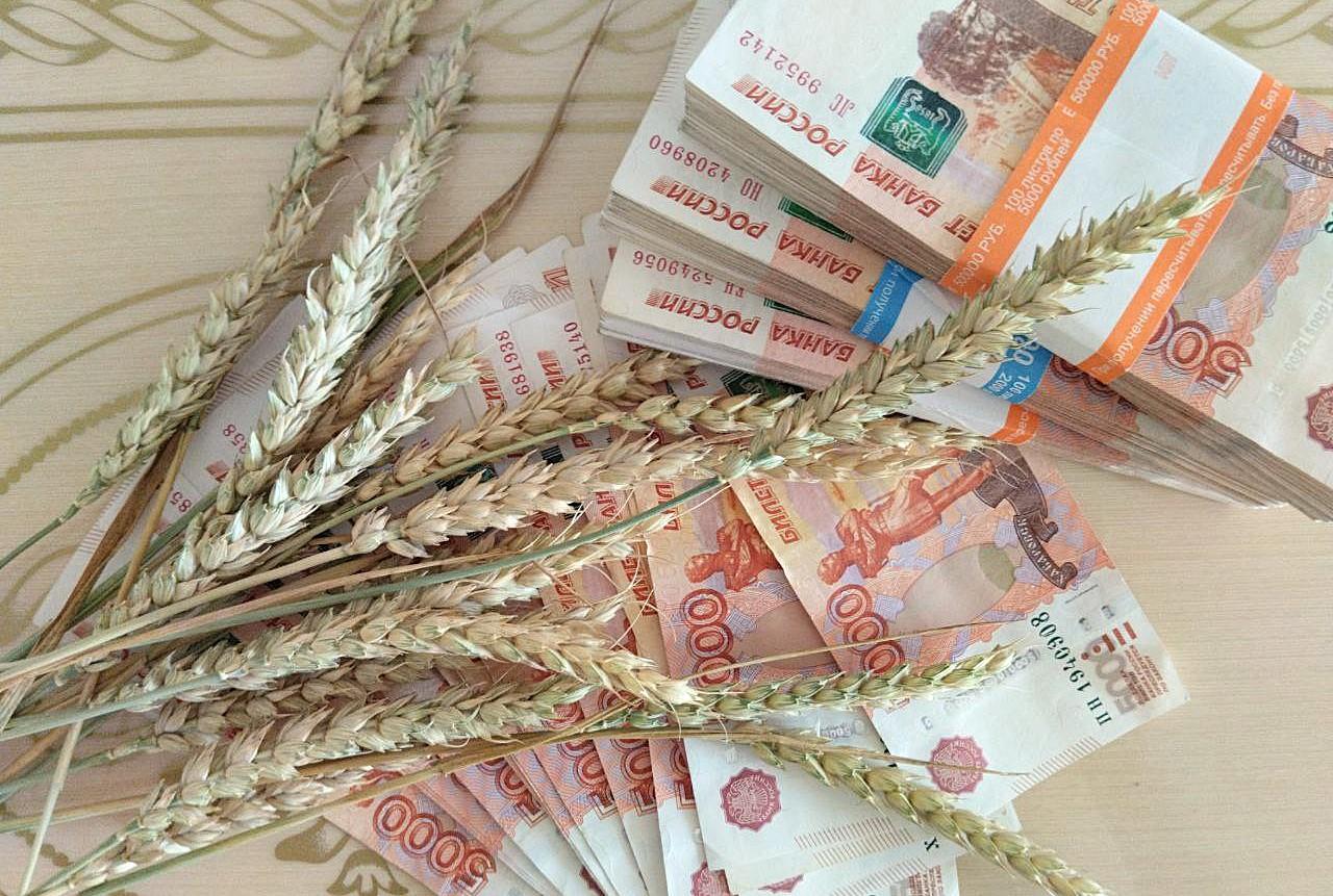 Цены на зерно РФ упали на 40% и ушли на 30% ниже окупаемости, аграрии сокращают посевы озимых - изображение