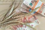 Цены на зерно РФ упали на 40% и ушли на 30% ниже окупаемости, аграрии сокращают посевы озимых - превью