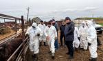 Ветеринарную палату создадут в Казахстане - превью