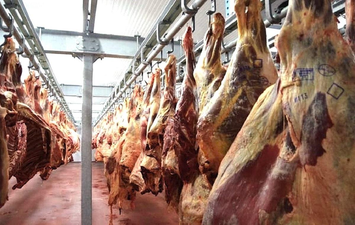 Минсельхоз начал прием заявок на квоты для импорта говядины в 2027 году - изображение